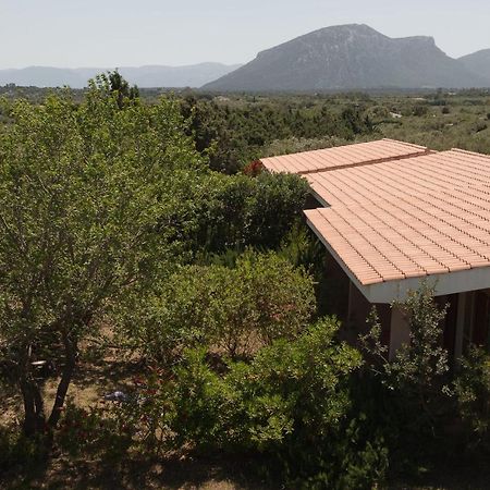 Agriturismo Don Lucifero Guest House Orosei Exterior photo