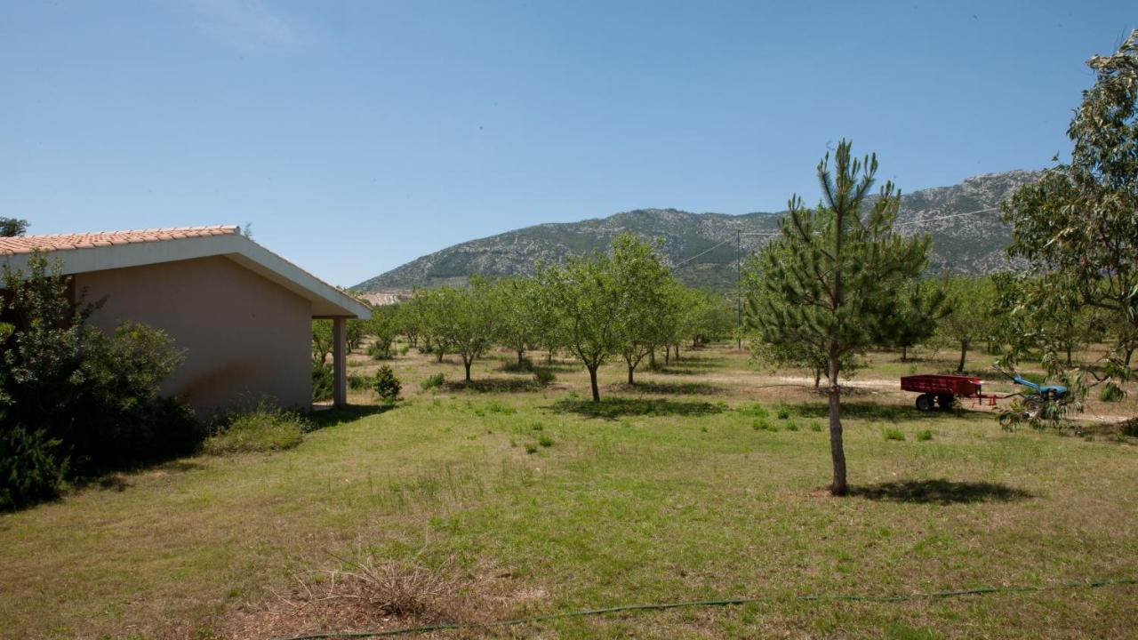 Agriturismo Don Lucifero Guest House Orosei Exterior photo